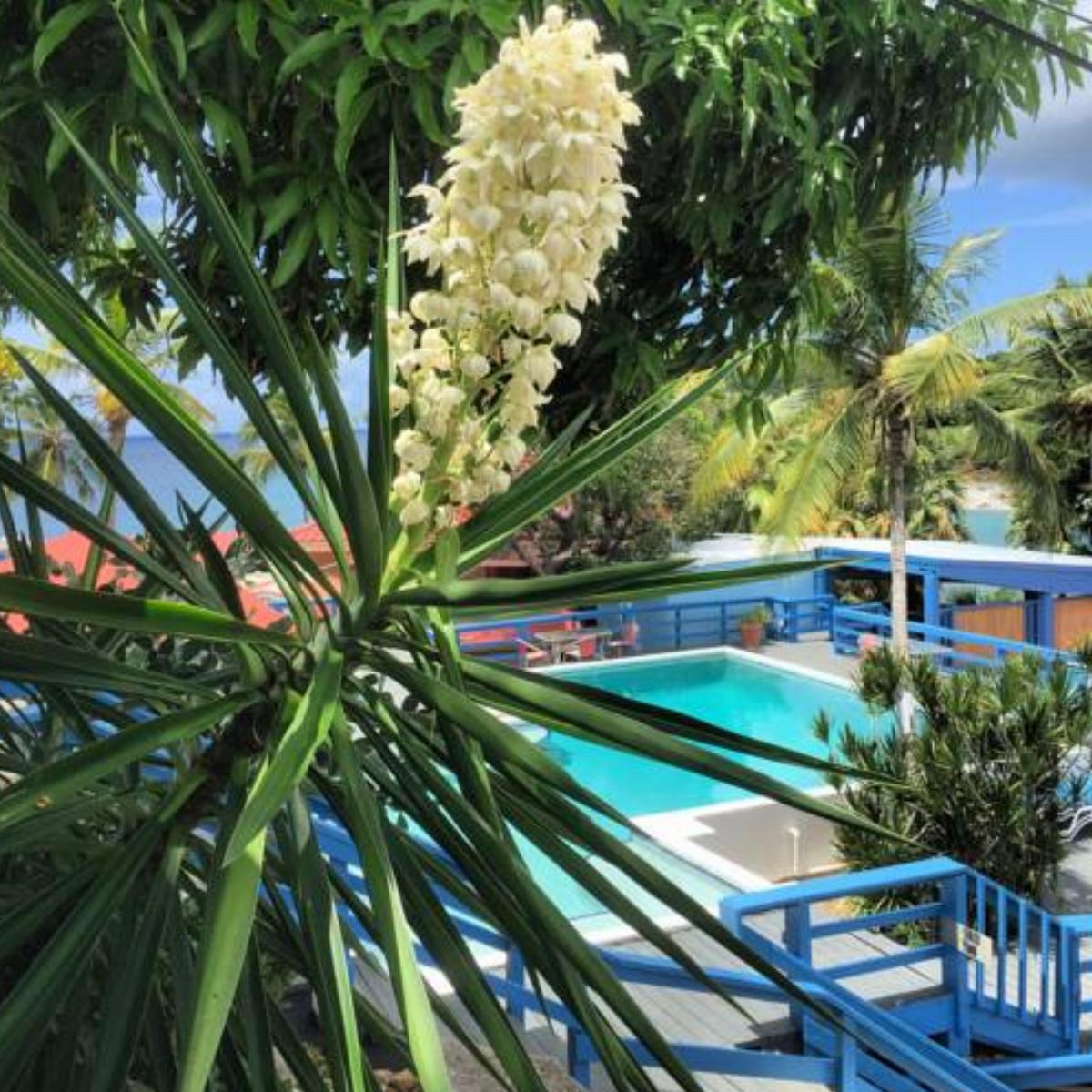 Olga's Fancy Hotel Charlotte Amalie US Virgin Islands