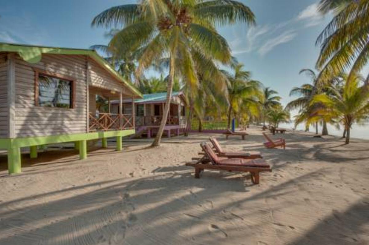 Palm Cove Cabins at Coconut Row Hotel Hopkins Belize
