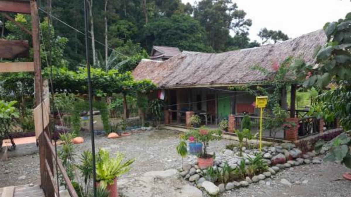 Penginapan Wak Ngah Hotel Bukit Lawang Indonesia