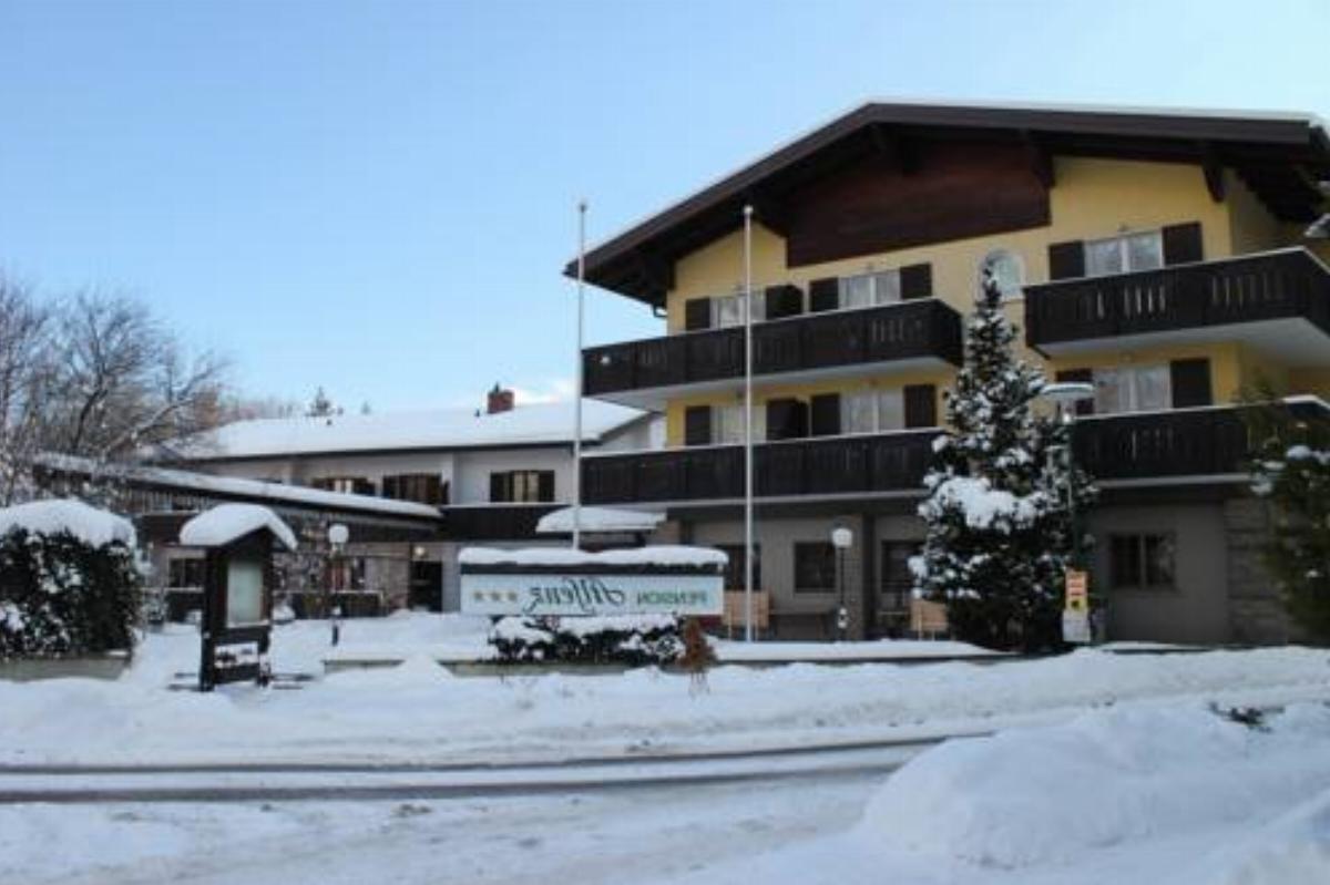 Pension Alfenz Hotel Bludenz Austria