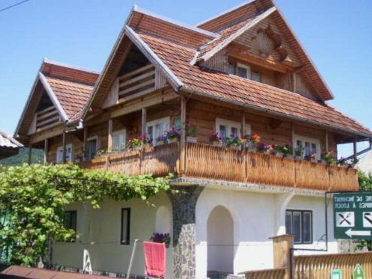 Pension Casa Muntean Hotel Vadu Izei Romania