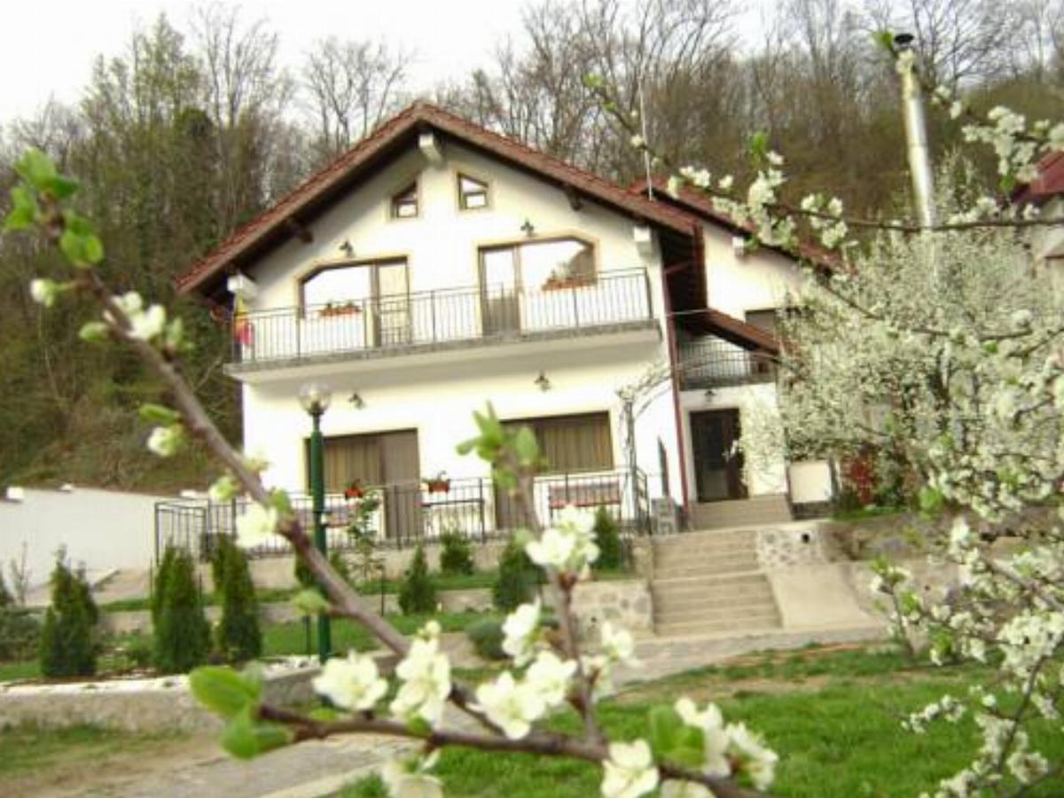 Pension Casa Natura Hotel Băile Herculane Romania