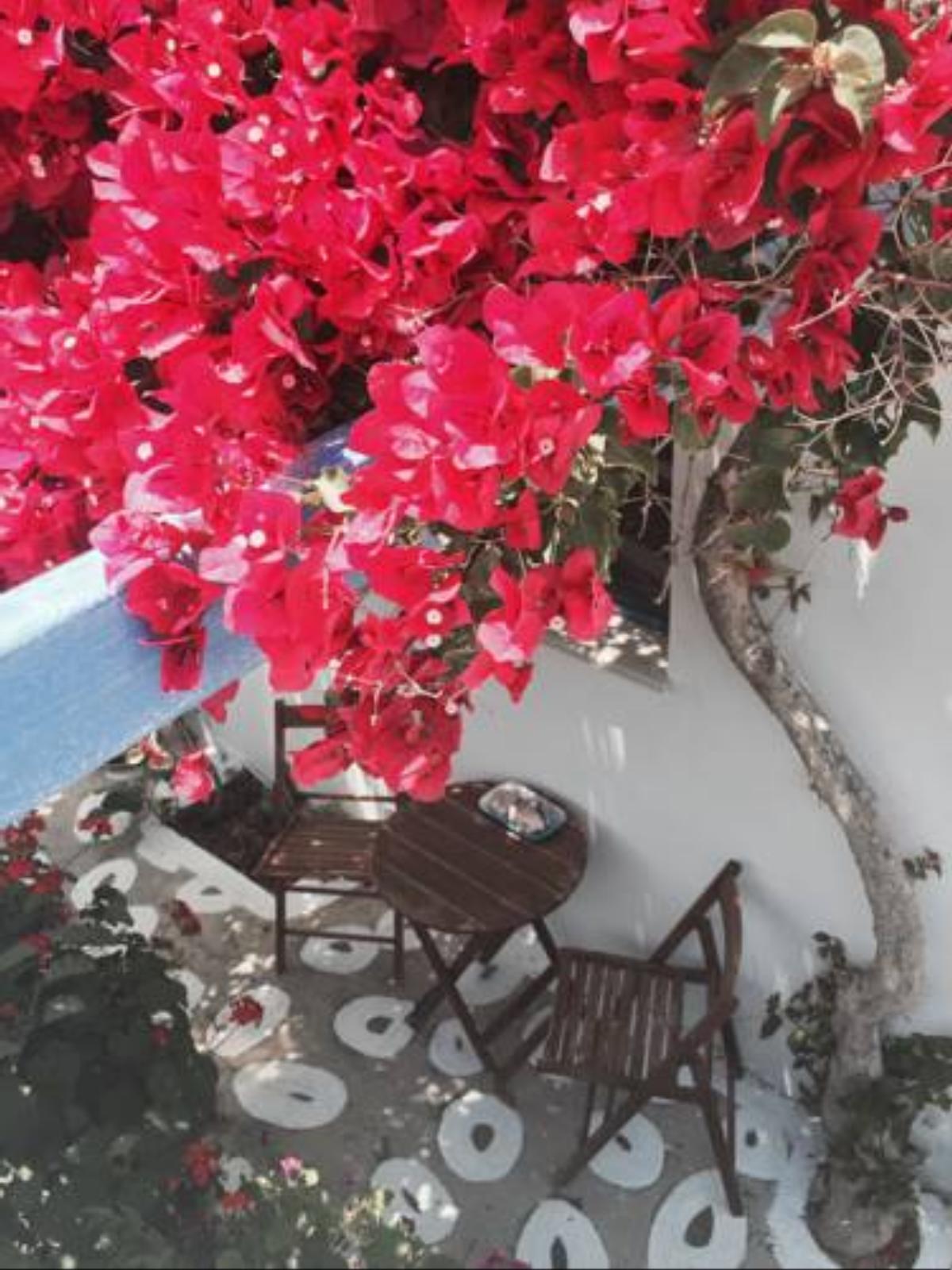 Pension Galini Hotel Katápola Greece