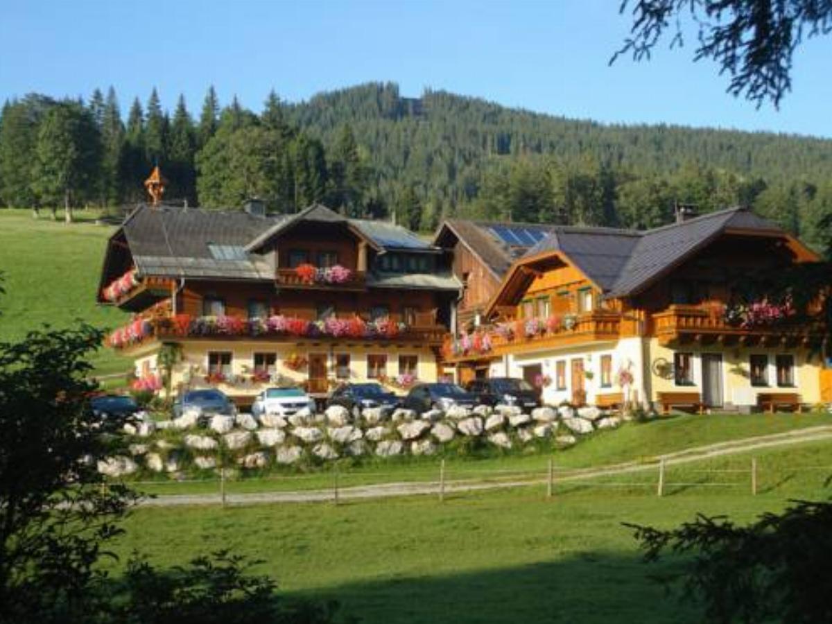 Pension-Greimelbacherhof Hotel Ramsau am Dachstein Austria