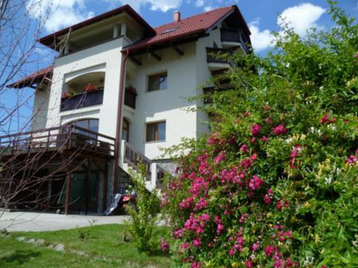 Pension Irina Hotel Arefu Romania