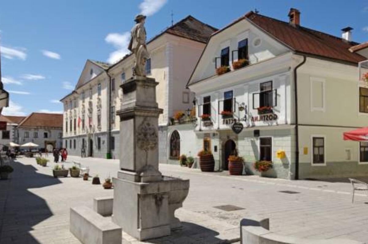 Pension Lectar Hotel Radovljica Slovenia