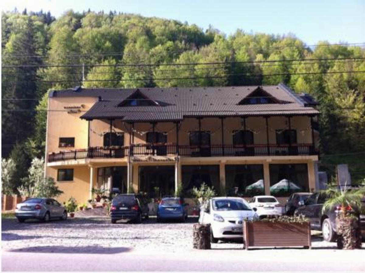 Pension Onelia Hotel Gîrda de Sus Romania