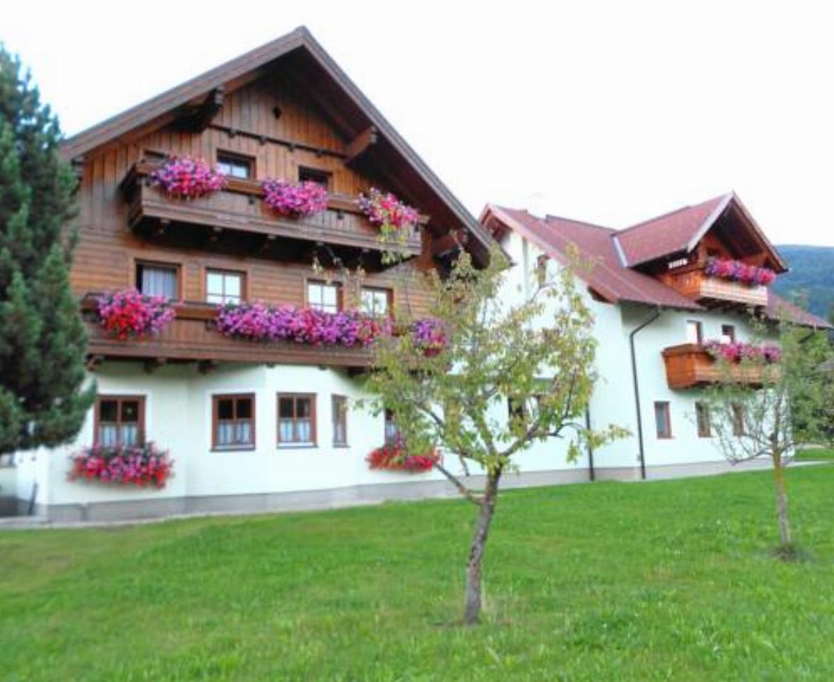 Pension Thorerhof Hotel Haus im Ennstal Austria