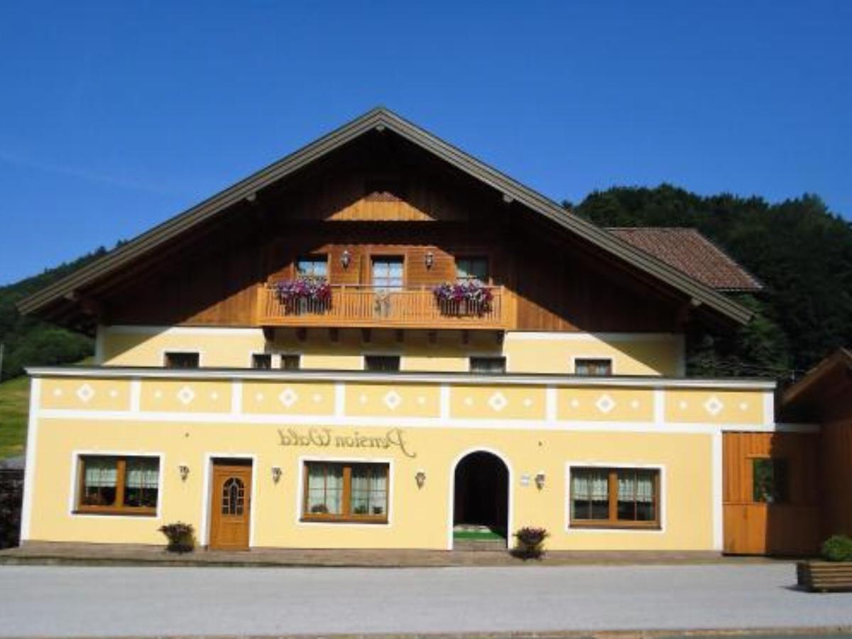 Pension Wald Hotel Faistenau Austria