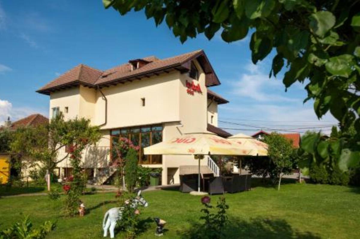 Pensiunea Andrei Hotel Copăcelu Romania