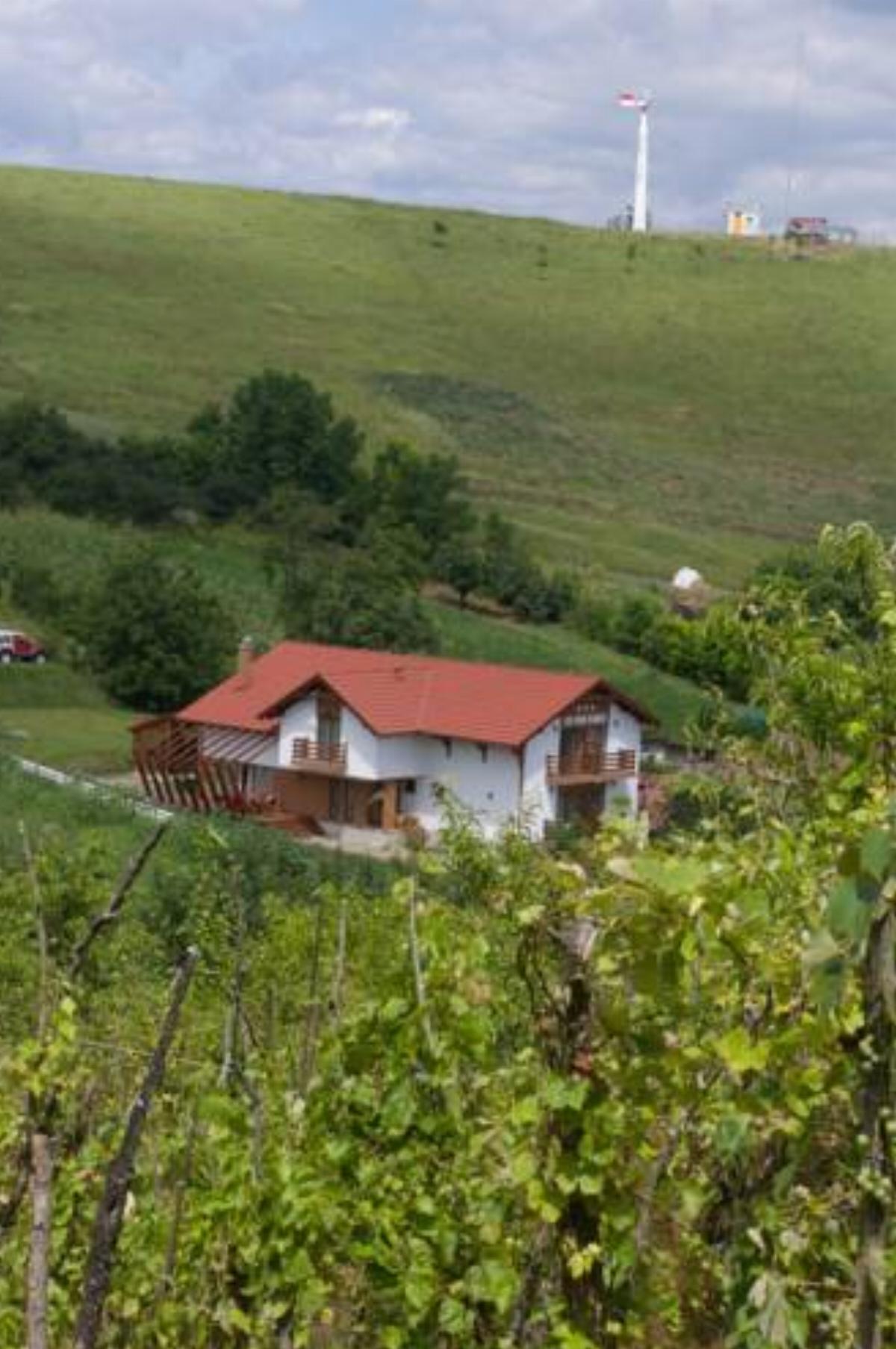 Pensiunea Casa din Vii Hotel Şeuşa Romania