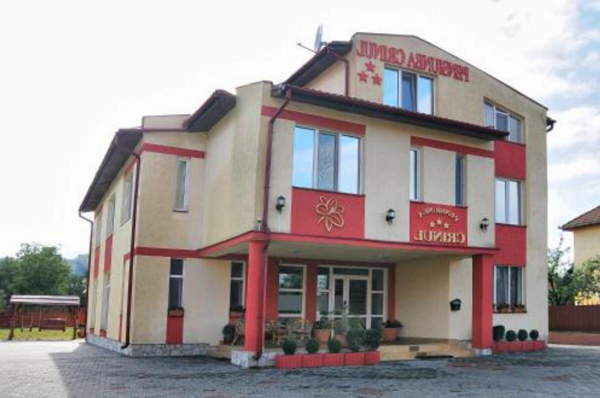 Pensiunea Crinul Hotel Sîngeorgiu de Mureş Romania