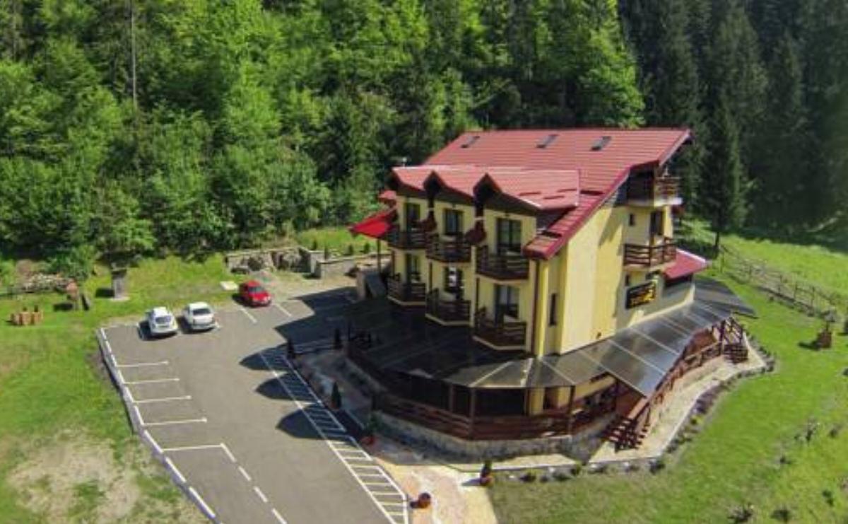 Pensiunea Geona Hotel Poiana Teiului Romania