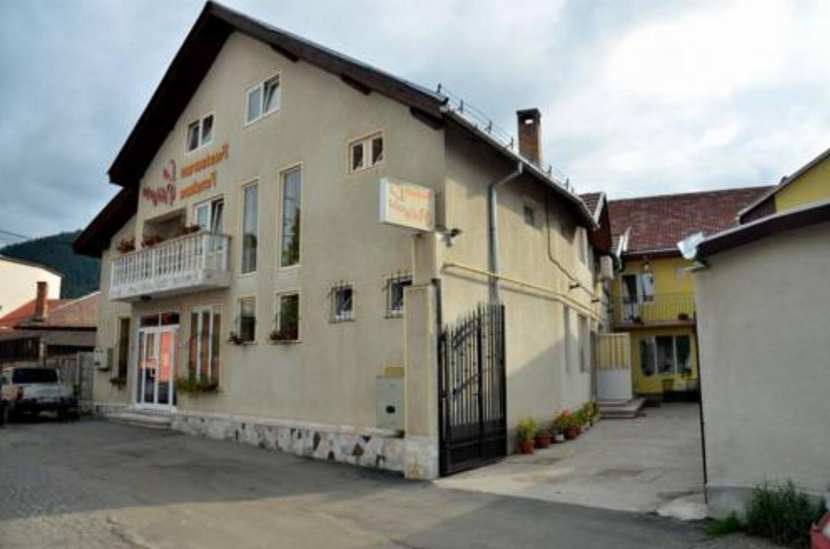 Pensiunea La Palaguta Hotel Baia Mare Romania