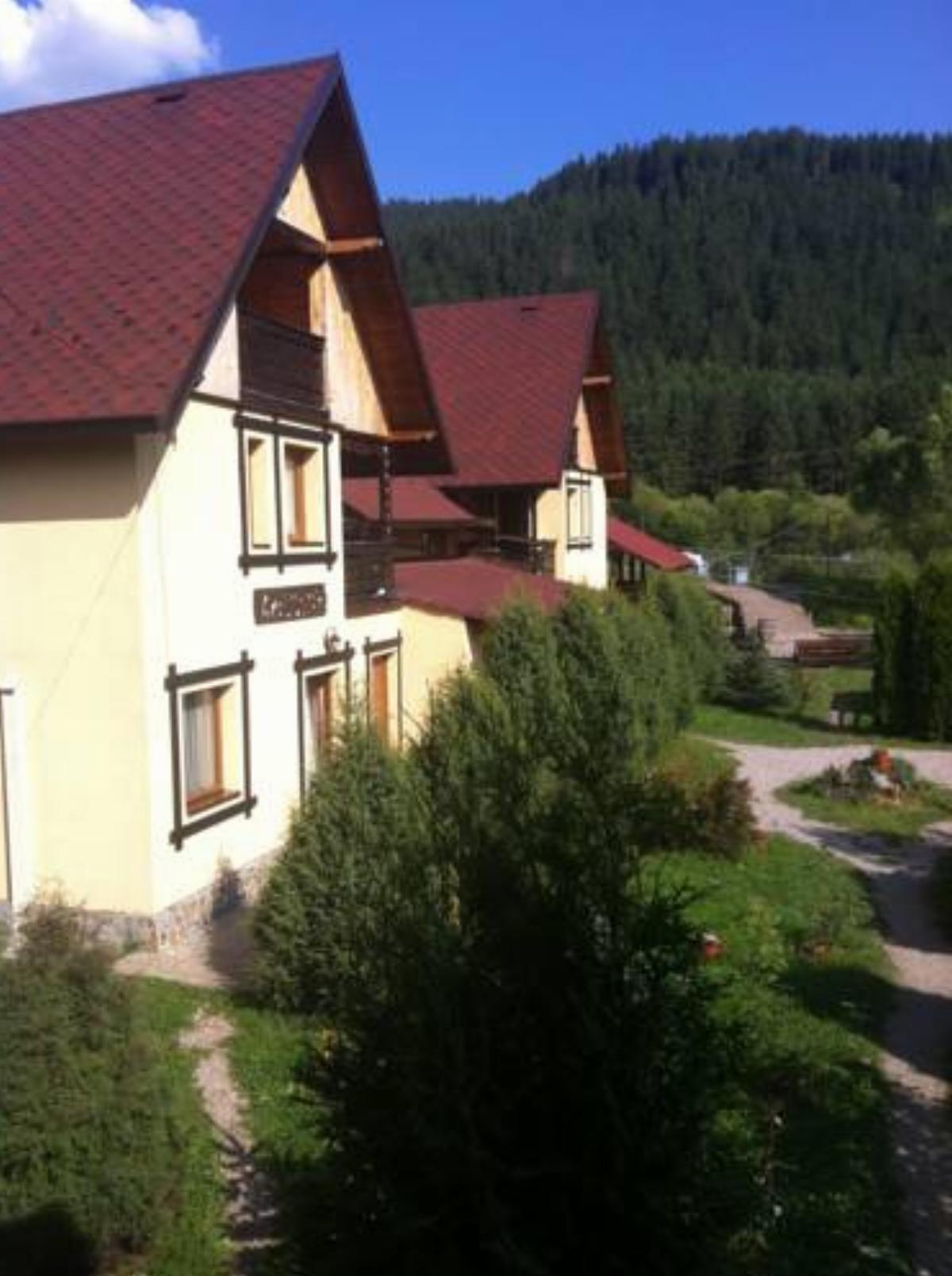 Pensiunea Liliana Hotel Câmpulung Moldovenesc Romania