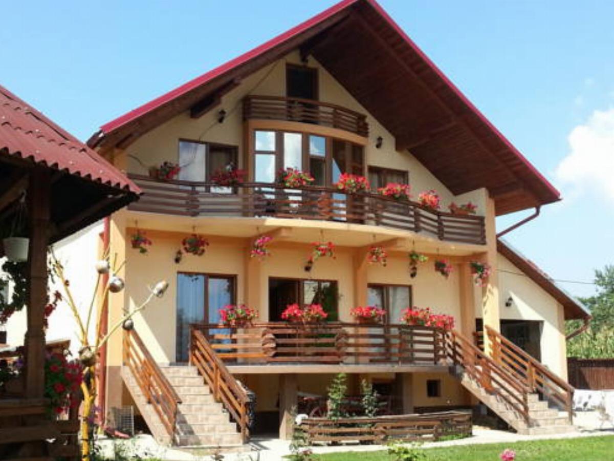 Pensiunea Maramures Hotel Ocna Şugatag Romania