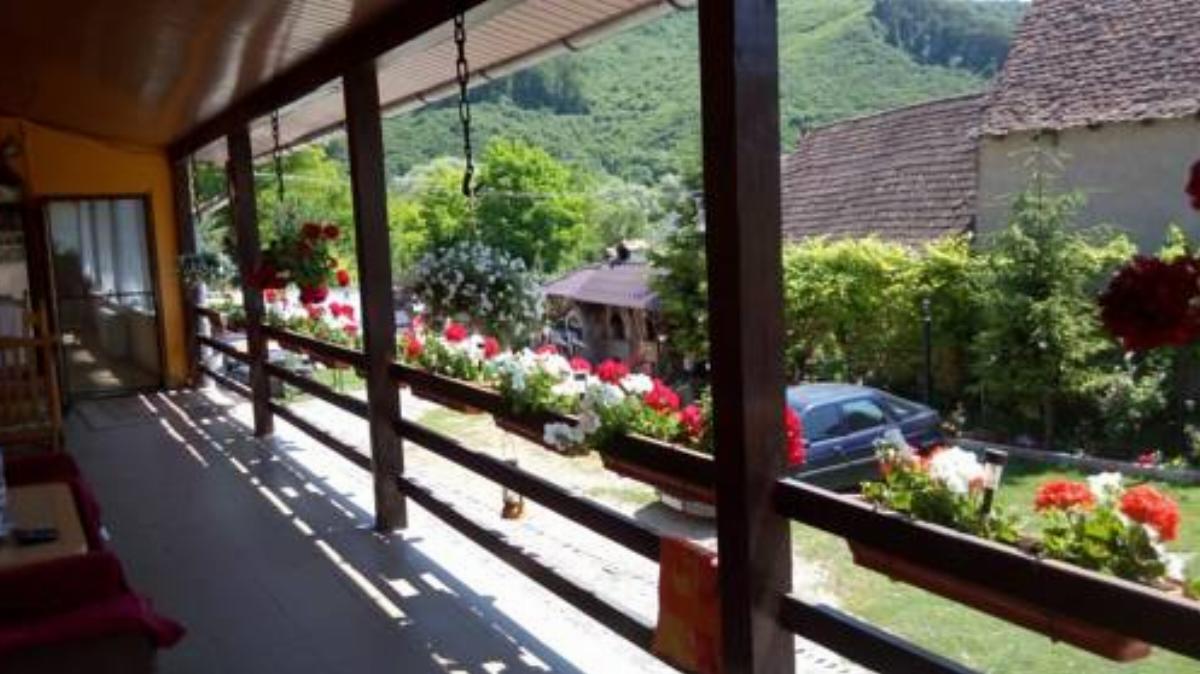 Pensiunea Matyas Kiraly Hotel Şaeş Romania
