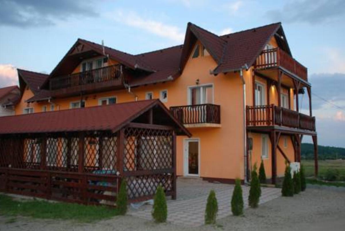 Pensiunea Mountain King Hotel Sîmbăta de Sus Romania