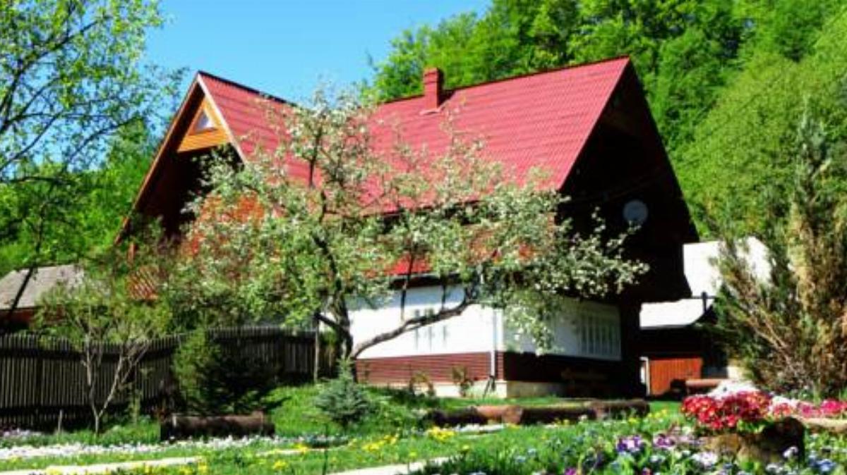 Pensiunea Poiana de Vis Hotel Suceviţa Romania