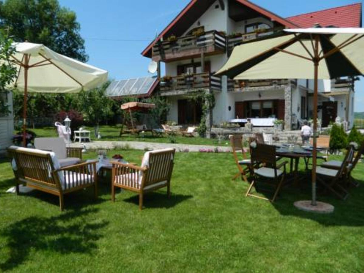 Pensiunea Romantic Hotel Sadu Romania