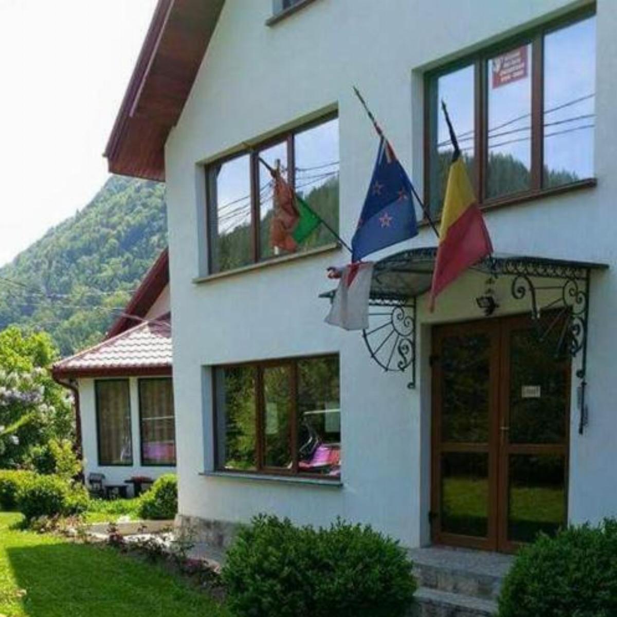 Pensiunea Rossvillas Hotel Lepşa Romania