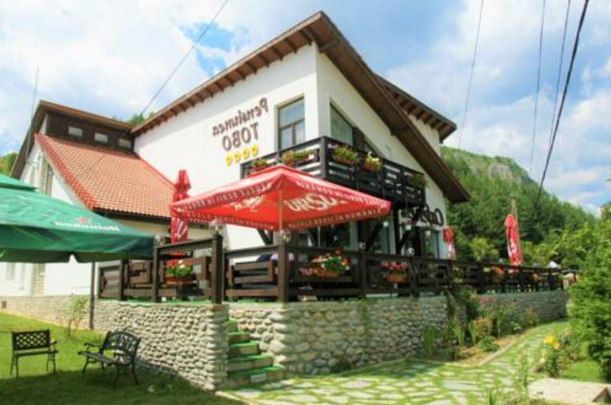 Pensiunea Tobo Hotel Baia de Fier Romania