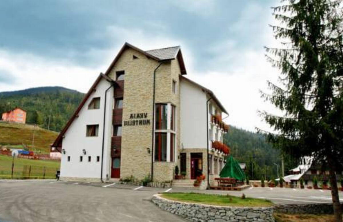 Pensiunea Vraja Muntelui Hotel Arieşeni Romania