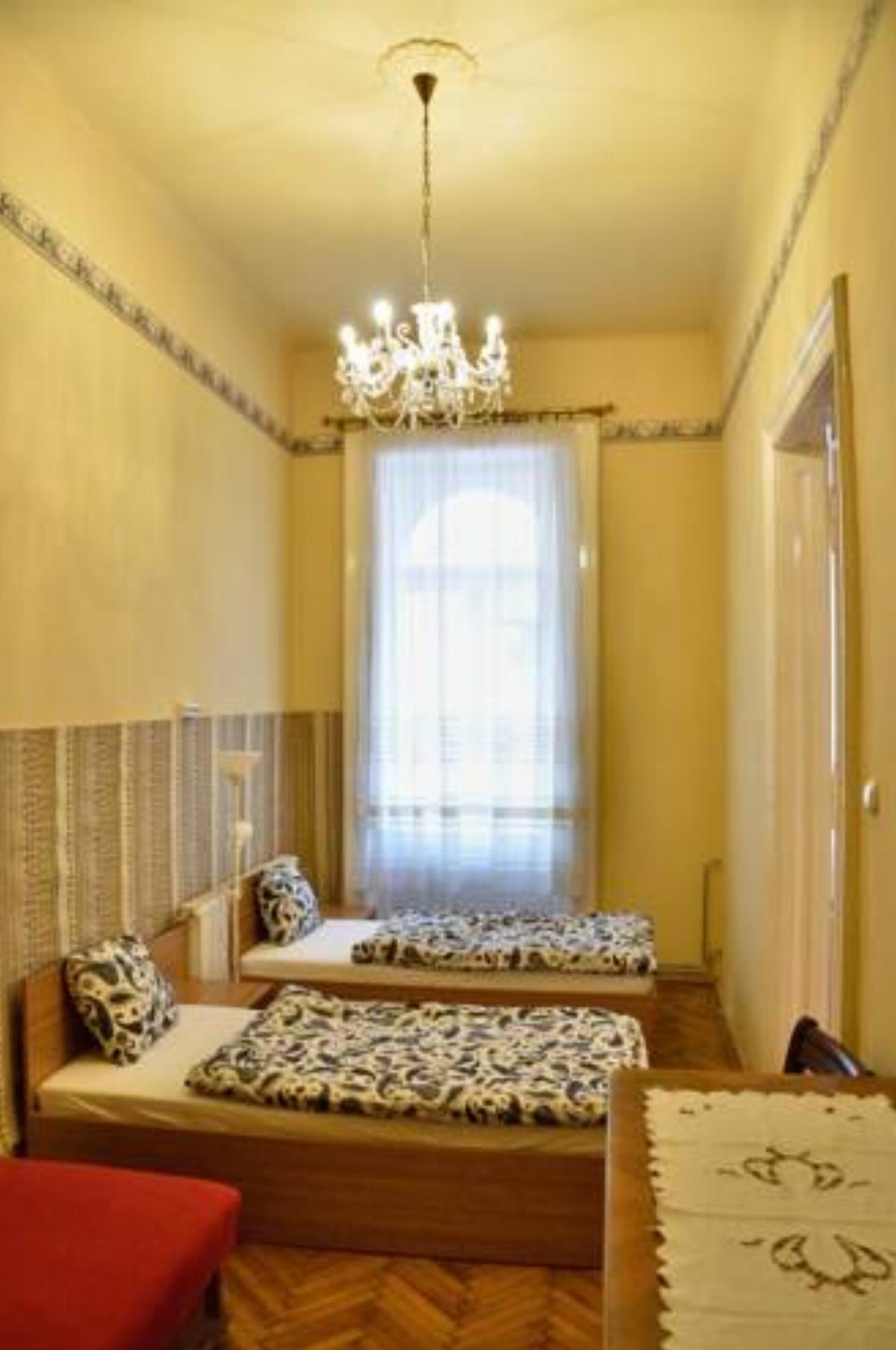 Perfect location spacious 4 BR flat for 11 guests Hotel Budapest Hungary