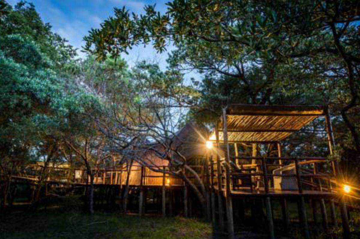 Pezulu Tree House Lodge Hotel Kapama Game Reserve South Africa