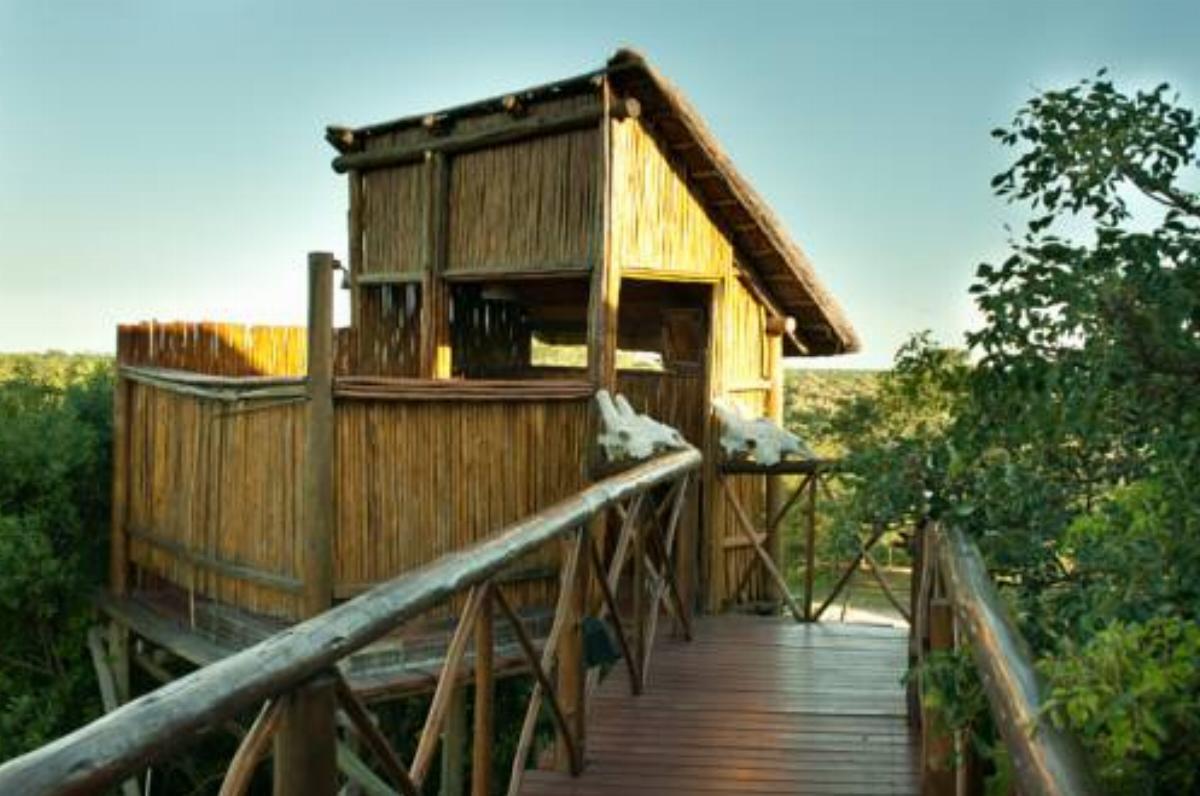 Pezulu Tree House Lodge Hotel Kapama Game Reserve South Africa