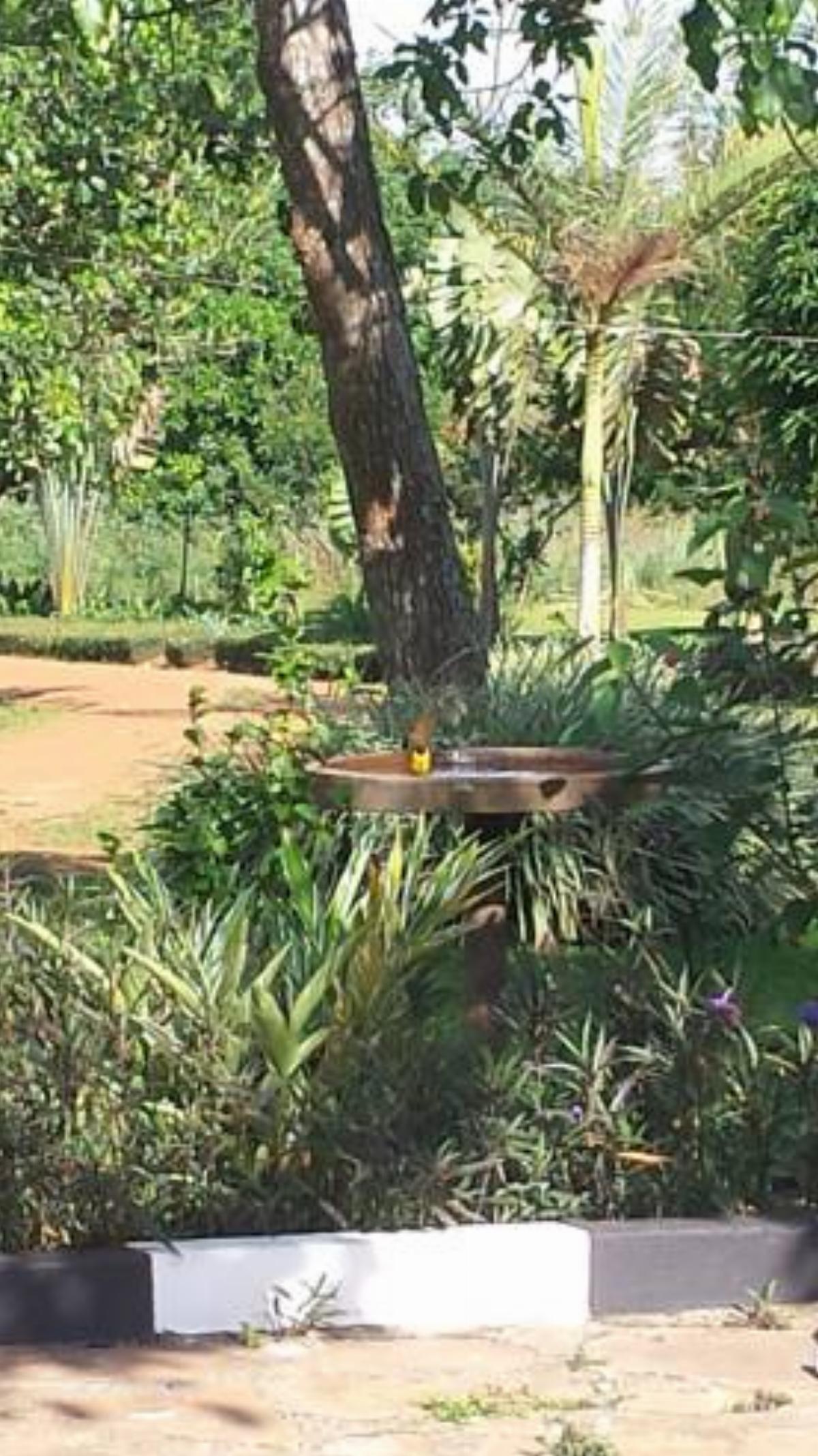 Philo Leisure Gardens Hotel Kalangala Uganda