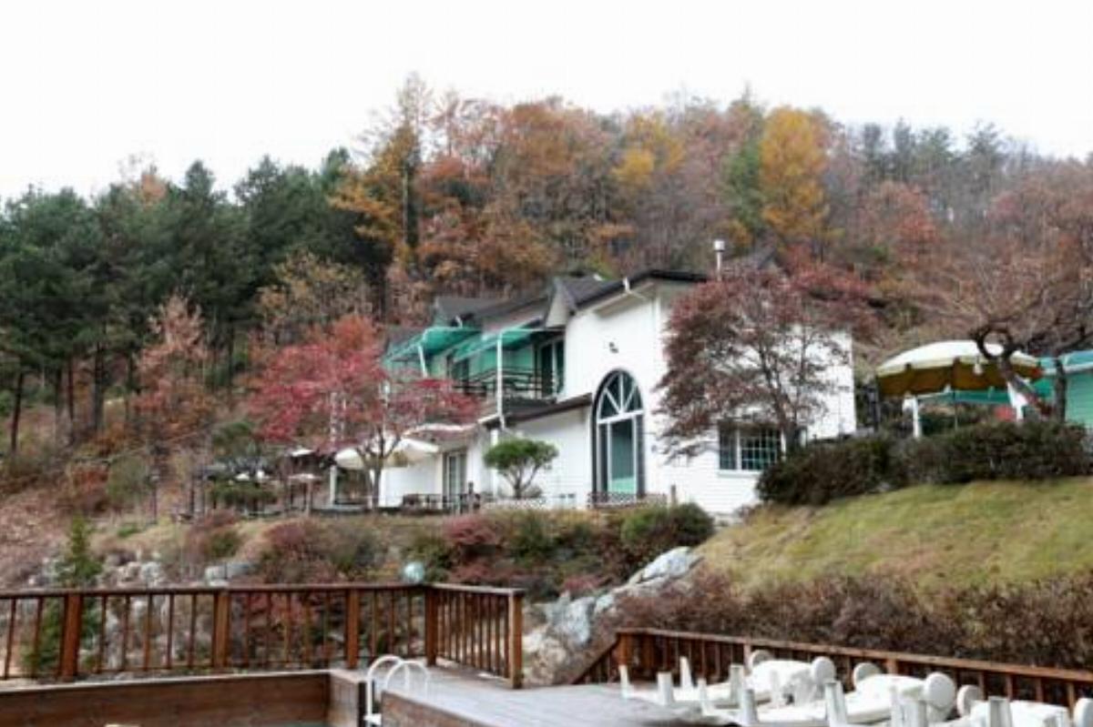 Pinearoma Pension Hotel Hongcheon South Korea