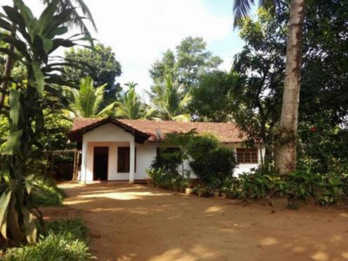 Pinnawala home stay Hotel Kamburadeniya Sri Lanka