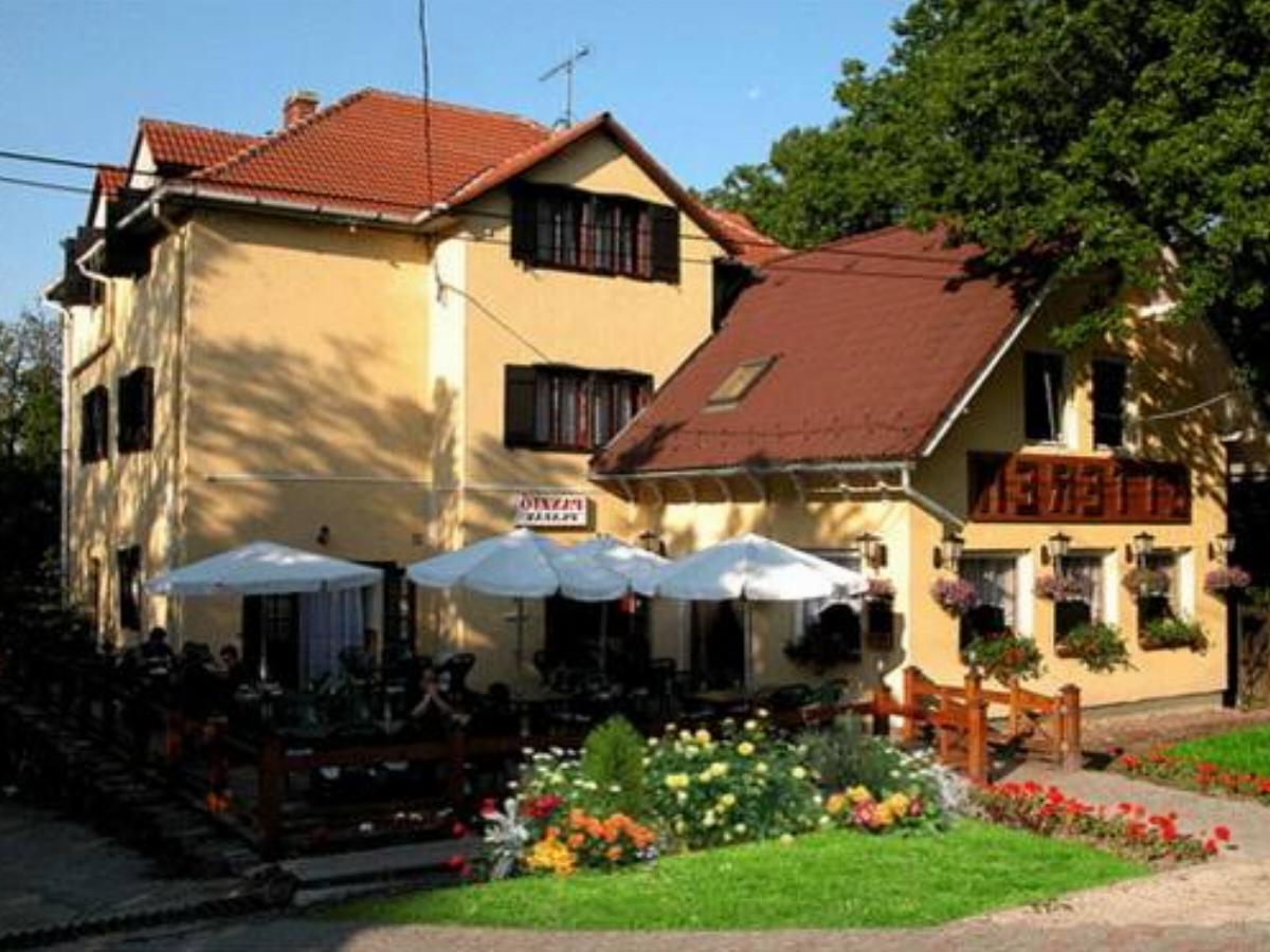 Platán Panzió Hotel Dobogoko Hungary