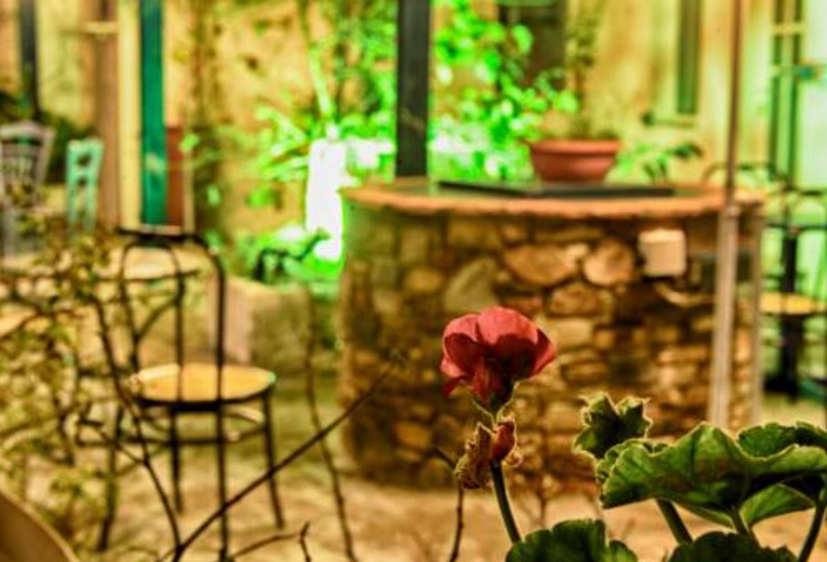 Plumeria Flowery Hotel Agios Kirykos Greece