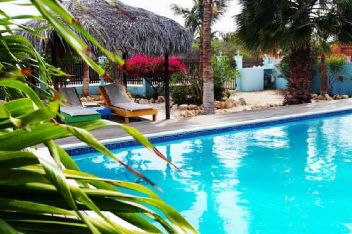 Poolvilla Cool Blue Hotel Kralendijk Bonaire St Eustatius and Saba