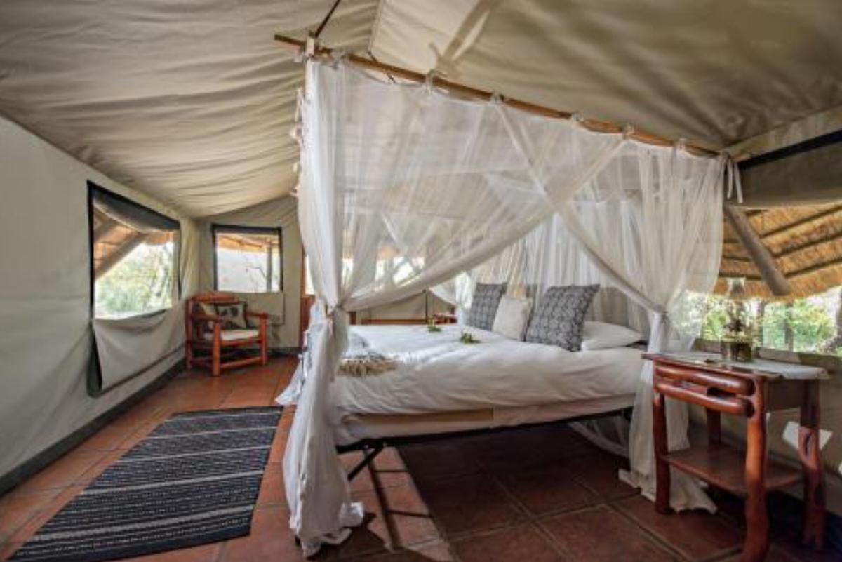 Pungwe Safari Camp Hotel Manyeleti Game Reserve South Africa