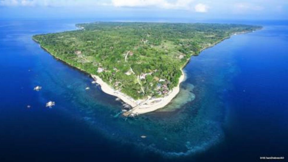 Pura Vida Beach & Dive Resort - Cabilao Hotel Loon Philippines