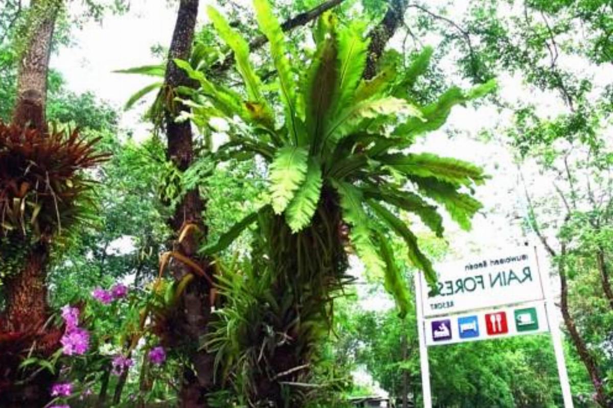 Rainforest Resort Phitsanulok Hotel Ban Pak Yang Thailand