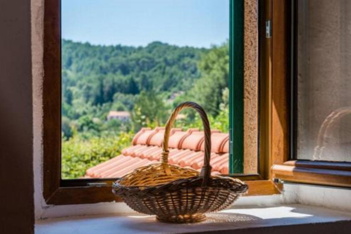 Relaxing & Charming Apartments Hotel Dol Croatia