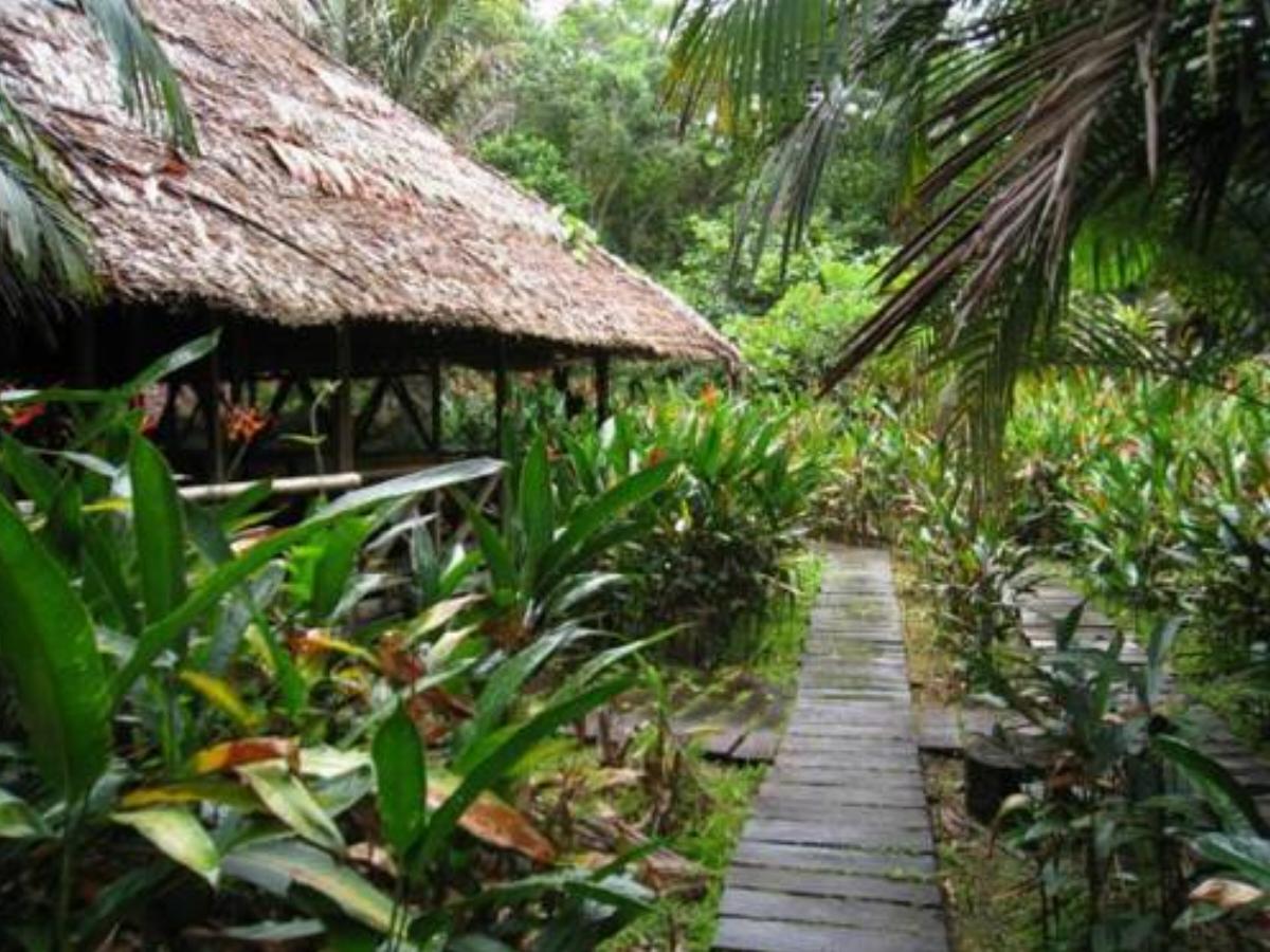Reserva Natural Heliconia Amazonas Hotel Leticia Colombia