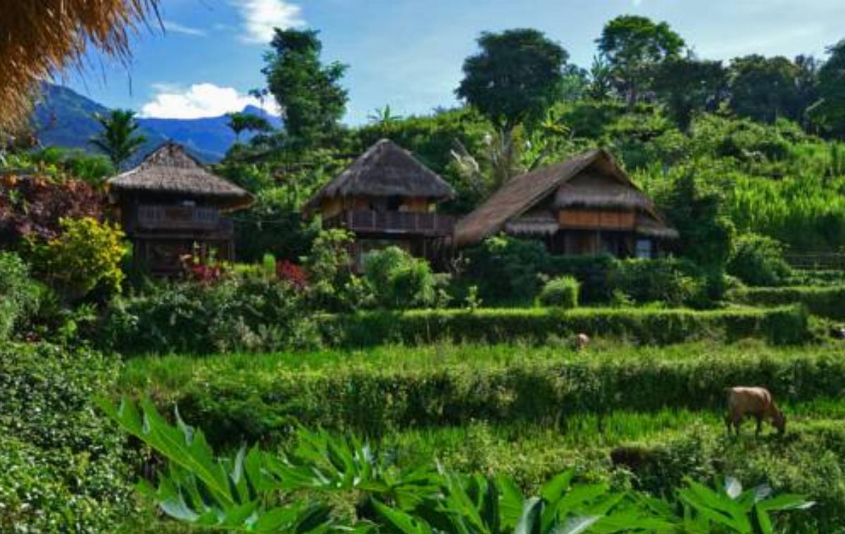 Rinjani Mountain Garden Hotel Bayan Indonesia