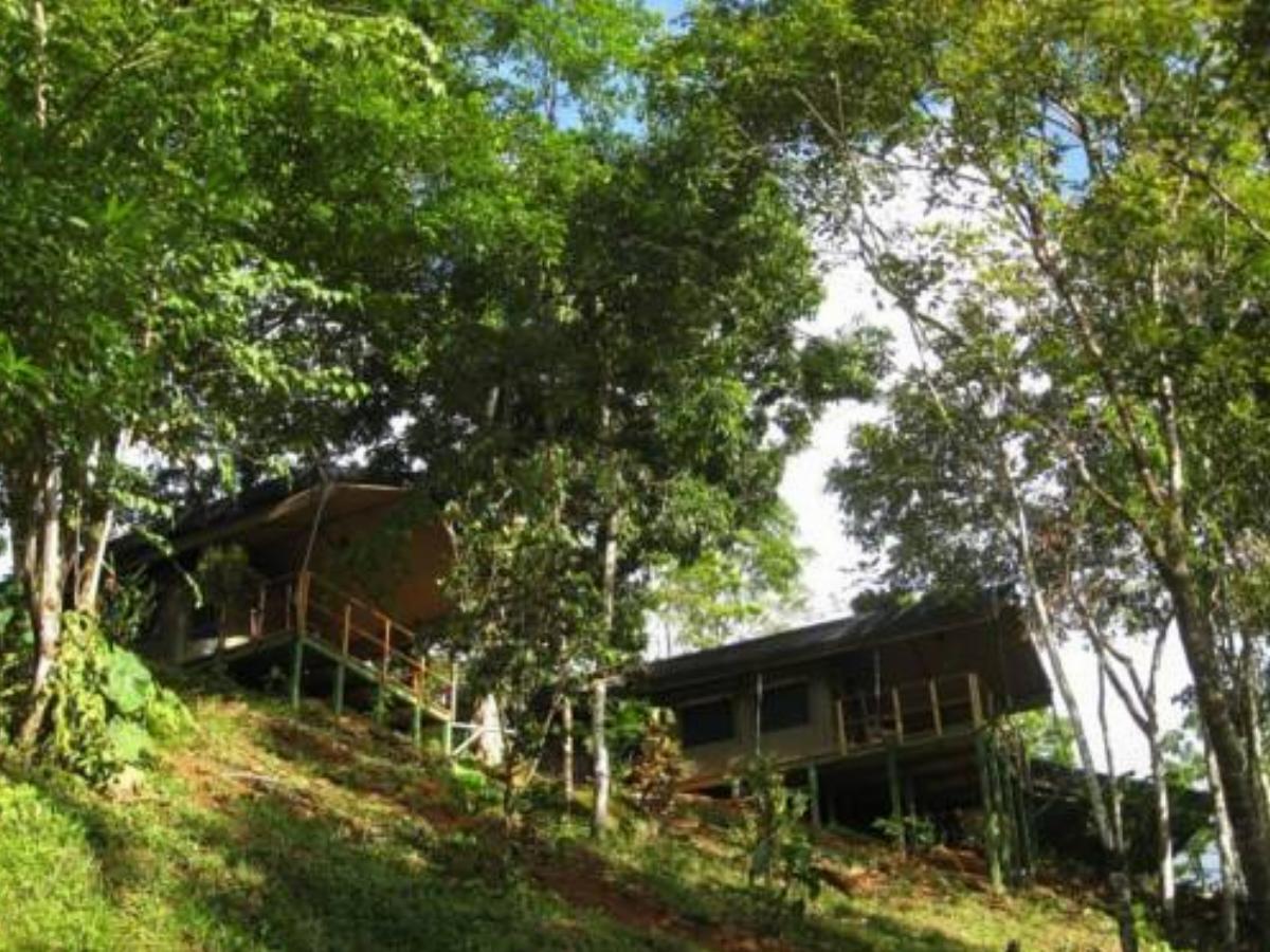 Rio Tico Safari Lodge Hotel Punta Mala Costa Rica
