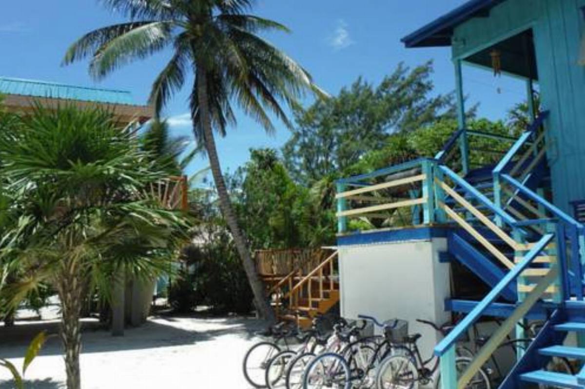 Rosco's Faymous Hideaway Hotel Caye Caulker Belize