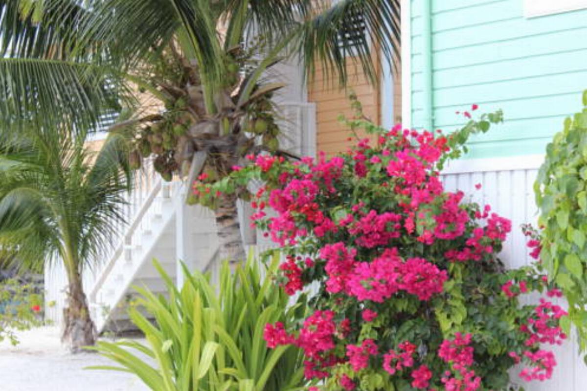 Royal Palm Island Resort Hotel Belize City Belize