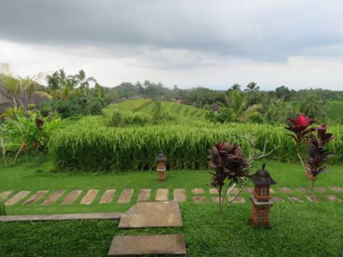 Rumah Dusun Hotel Blimbing Indonesia