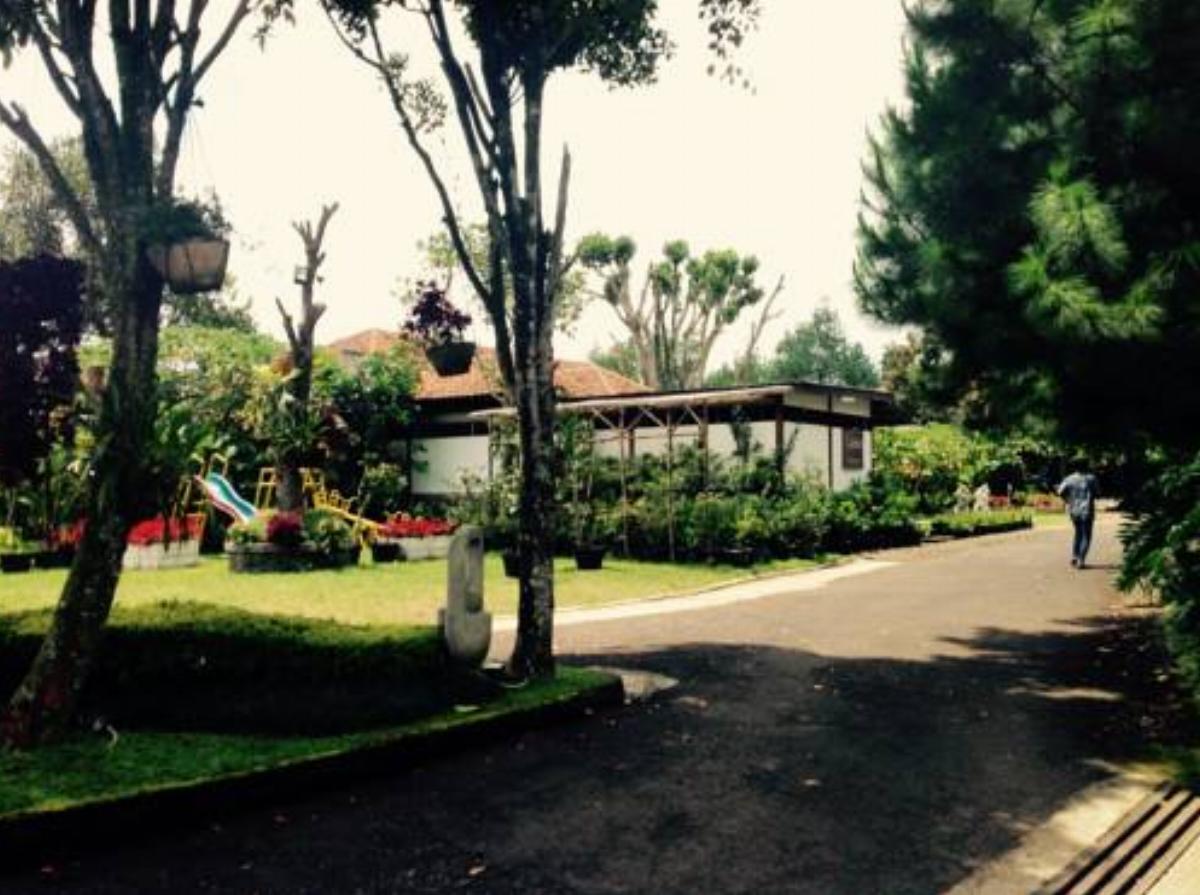 Rumah Sora Hotel Cikidang 1 Indonesia