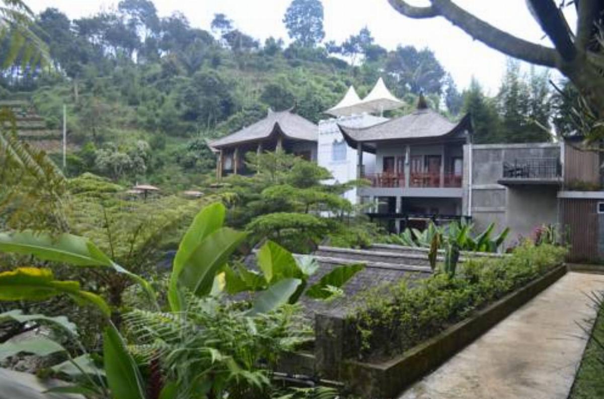 Rumah Stroberi Organic Farm & Family Lodge Hotel Lembang Indonesia