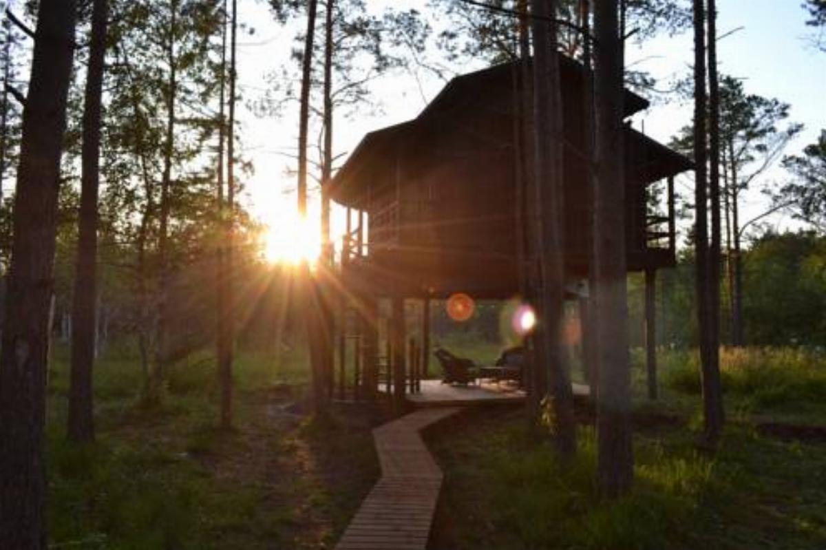 Sambliku Treehouse Hotel Jõgisoo Estonia