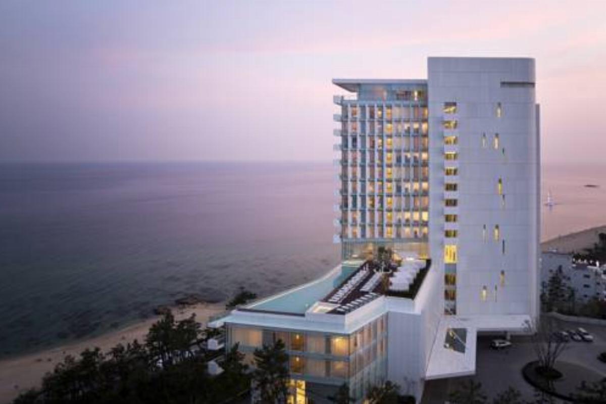 Seamarq Hotel Hotel Gangneung South Korea